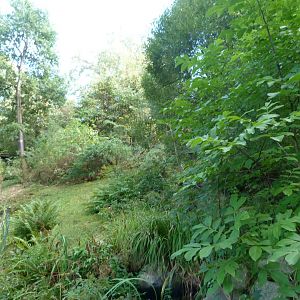 Brown hyena exhibit -Zoo Praha (2025)