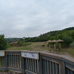 African savanna exhibit -Zoo Praha (2025)