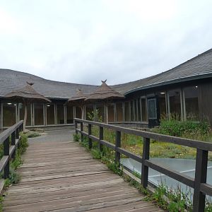 "African House" view -Zoo Praha (2025)