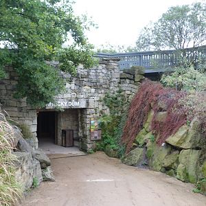Entrance to the "African House" -Zoo Praha (2025)