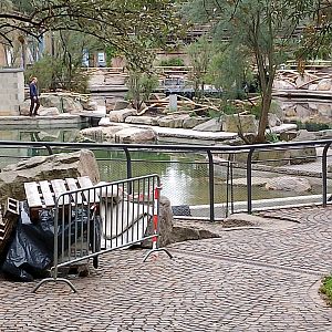 Repairs on the dolphin lagoon