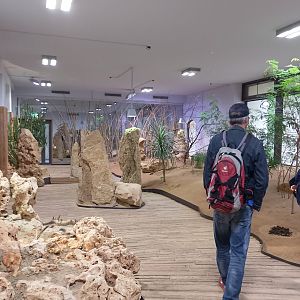 Desert house interior