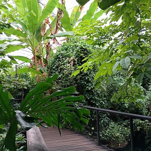Manatee house interior