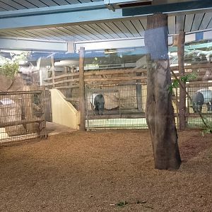 Tapir house