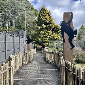 Chimpanzee Walkway (New Signage)