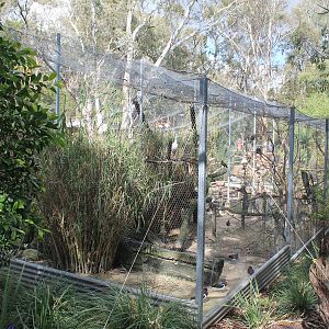 Wetland Habitat aviary