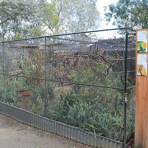 aviaries