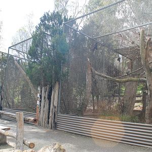 Australian parrot aviaries