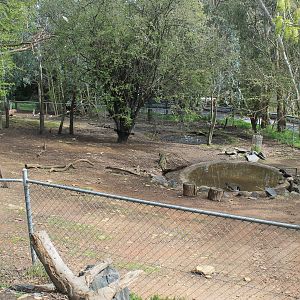 Capybara and Mara enclosure