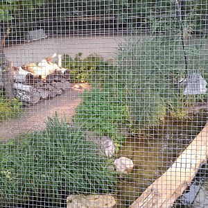 European herp enclosure