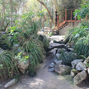 Little Blue Penguin enclosure