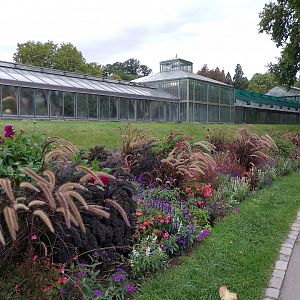 Greenhouse outdoor view