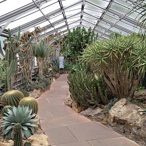 Desert greenhouse