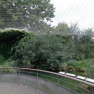 European wetland aviary