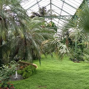 Great greenhouse overview