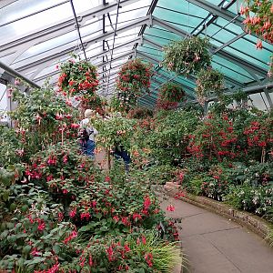 Floral greenhouse