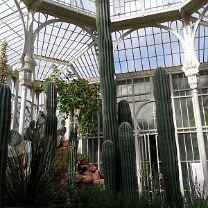 Cactus greenhouse