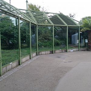 Chimpanzee enclosure