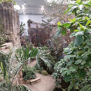 Tropical house overview