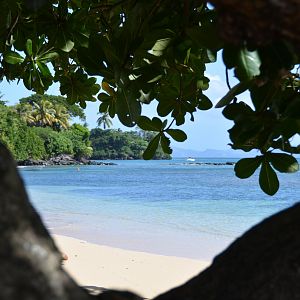 Another Fijian scene