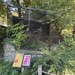 Laughing Kookaburra Aviary