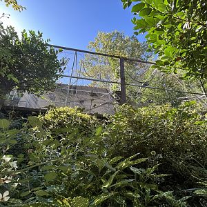 Cotton-top Tamarin & Silvery Marmoset Exhibit