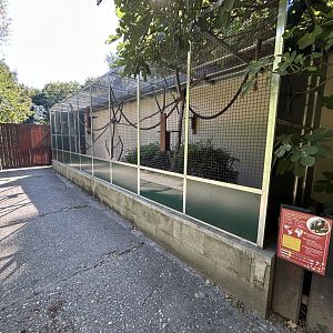 Red-handed Tamarin Exhibit