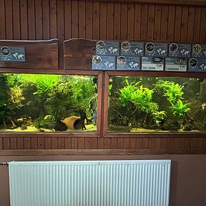 Aquariums in Exotarium