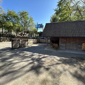 Donkey Exhibit
