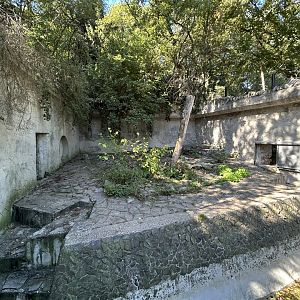 Brown Bear Exhibit (Old Portion)