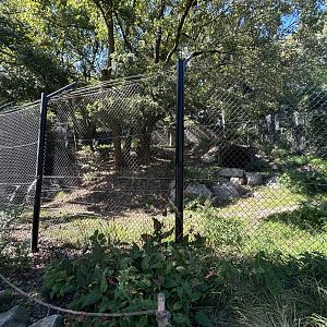 Brown Bear Exhibit (New Portion)