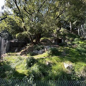 Brown Bear Exhibit (New Portion)