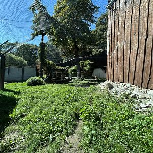 Sri Lankan Leopard Exhibit