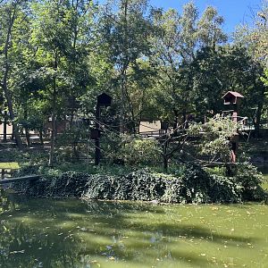 Squirrel Monkey Exhibit