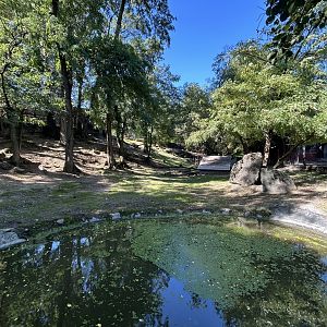 Sitatunga Exhibit