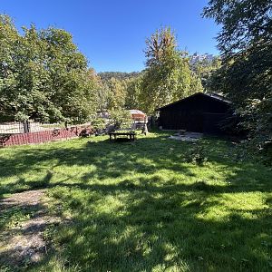 Kirk’s Dik-dik Exhibit