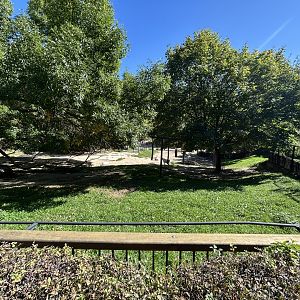 Arabian Oryx Exhibit