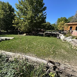 Pygmy Hippo Exhibit #1