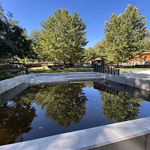 Pygmy Hippo Exhibit #2