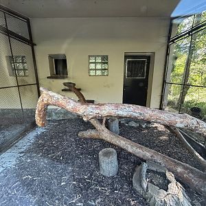 Geoffrey’s Cat Exhibit