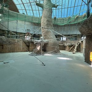 Indoor Chimpanzee Exhibit