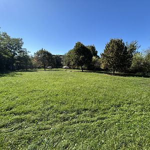 Red Kangaroo & Emu Exhibit