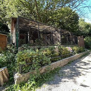 Barn Owl & Little Owl Aviaries