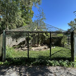 Wading Bird Aviary