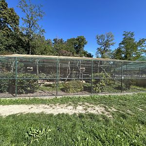 Mixed-species Aviary