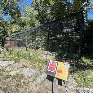 Northern Eagle Owl Aviary