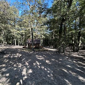 Red Deer & Mouflon Exhibit