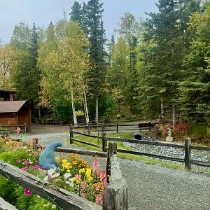 Zoo Entrance Plaza in Autumn