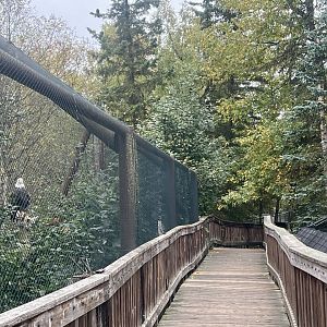 Boardwalk between Black Bears and Bald Eagle