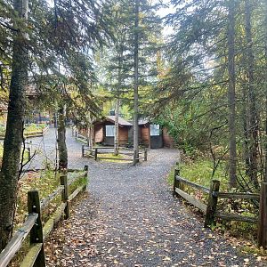 Path leading to Harbor Seal and exit